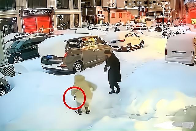 1637895182867567.png 1637895182867567.png