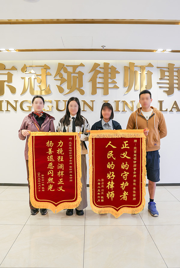 正义的守护者 人民的好律师